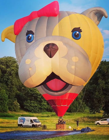 Bella the Bulldog hot air balloon