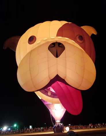 Buster the Bulldog hot air balloon